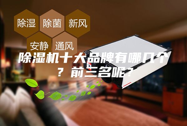除濕機十大品牌有哪幾個？前三名呢？