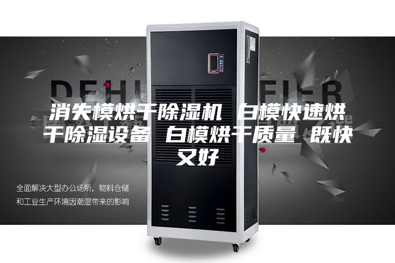 消失模烘干除濕機 白模快速烘干除濕設(shè)備 白模烘干質(zhì)量 既快又好