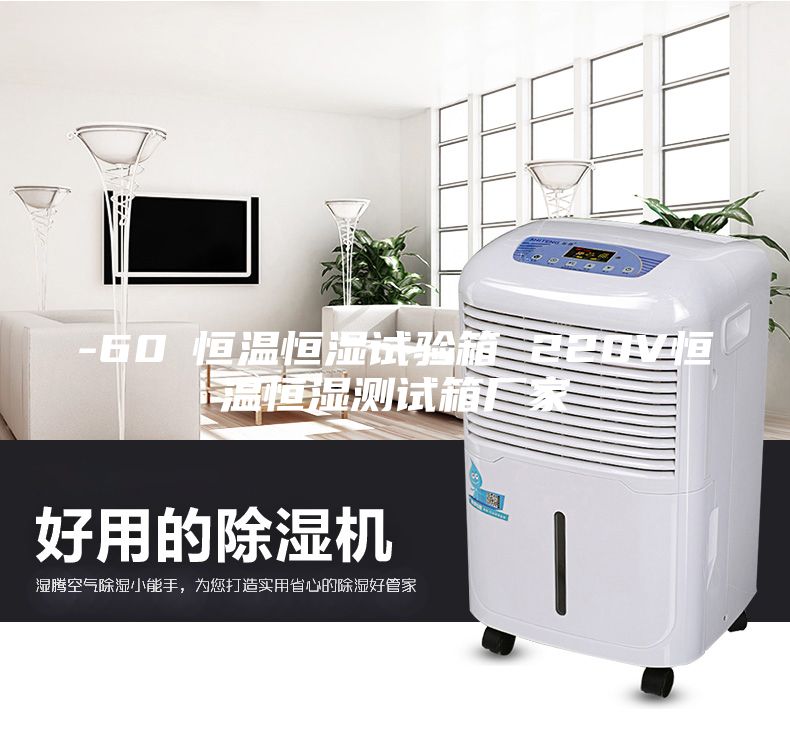 -60℃恒溫恒濕試驗箱 220V恒溫恒濕測試箱廠家