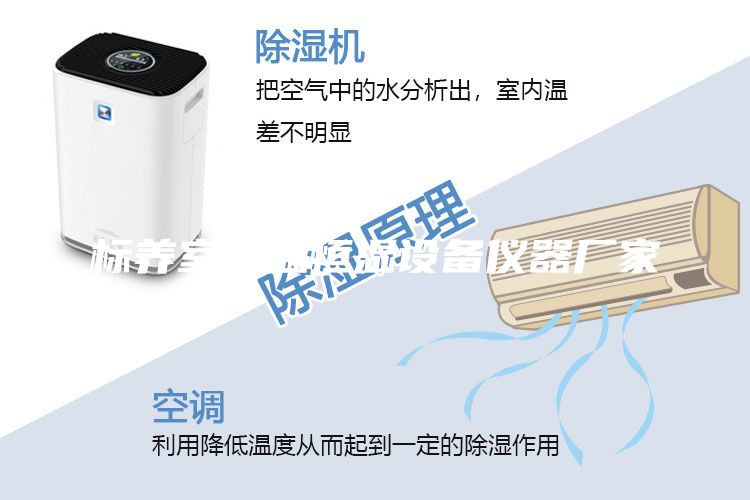 標養室恒溫恒濕設備儀器廠家
