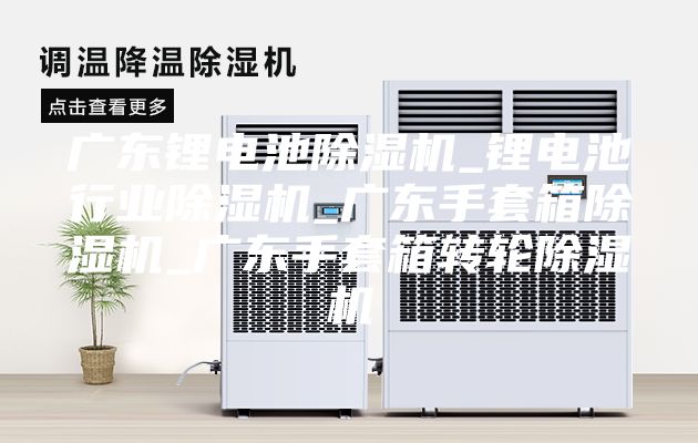 廣東鋰電池除濕機_鋰電池行業(yè)除濕機_廣東手套箱除濕機_廣東手套箱轉(zhuǎn)輪除濕機