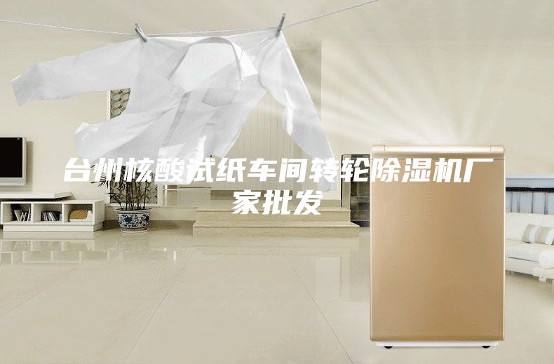 臺州核酸試紙車間轉輪除濕機廠家批發
