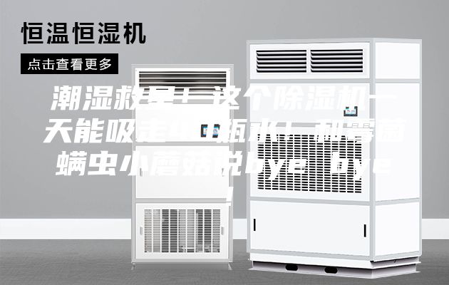 潮濕救星！這個除濕機一天能吸走40瓶水！和霉菌螨蟲小蘑菇說bye bye！