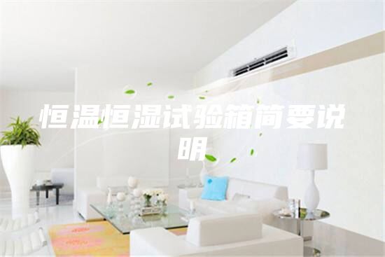 恒溫恒濕試驗(yàn)箱簡要說明