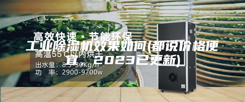 工業除濕機效果如何(都說價格便宜，2023已更新)