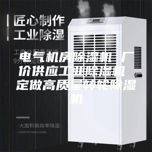 電氣機房除濕機 廠價供應工業(yè)除濕機 定做高質(zhì)量轉(zhuǎn)輪除濕機