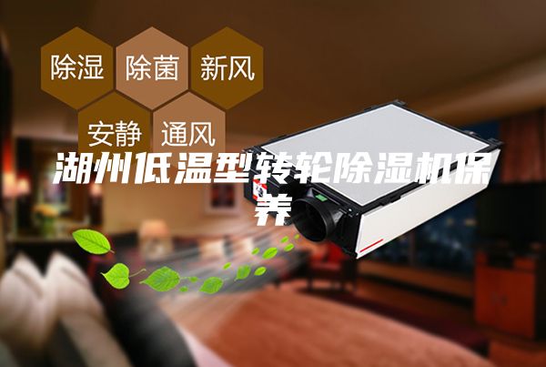 湖州低溫型轉(zhuǎn)輪除濕機(jī)保養(yǎng)