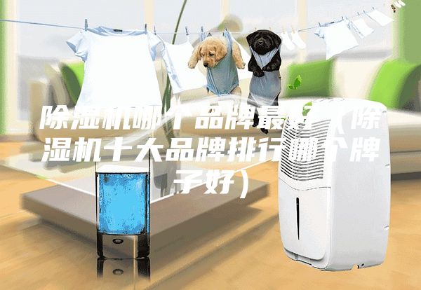 除濕機(jī)哪個(gè)品牌最好（除濕機(jī)十大品牌排行哪個(gè)牌子好）