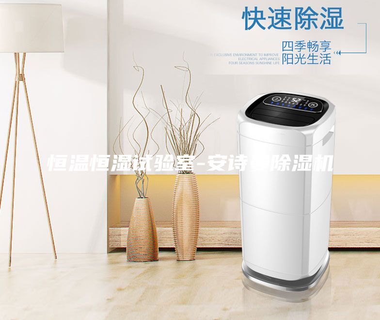 恒溫恒濕試驗(yàn)室-安詩曼除濕機(jī)