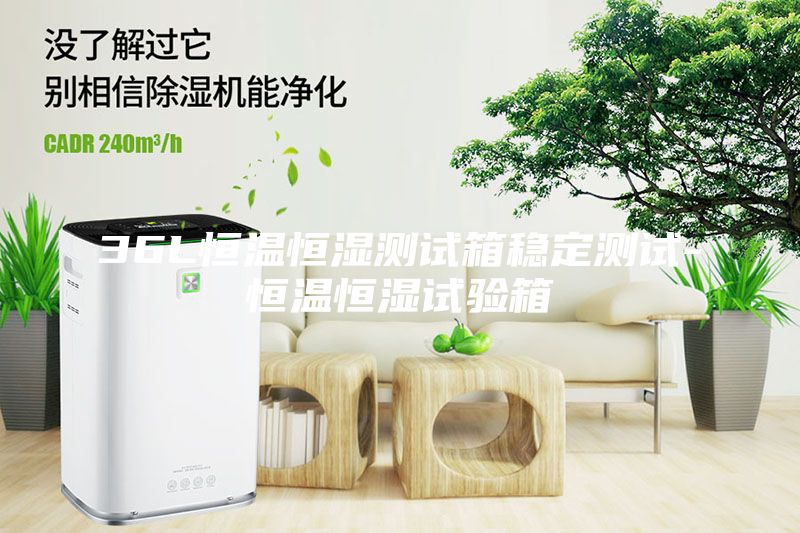 36L恒溫恒濕測試箱穩定測試-恒溫恒濕試驗箱