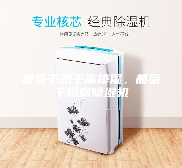 葡萄干烘干需排濕，葡萄干烘房除濕機