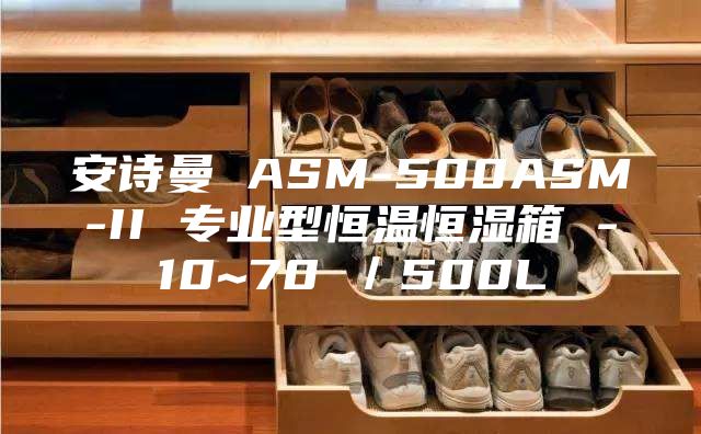 安詩曼 ASM-500ASM-II 專業(yè)型恒溫恒濕箱 -10~70℃／500L