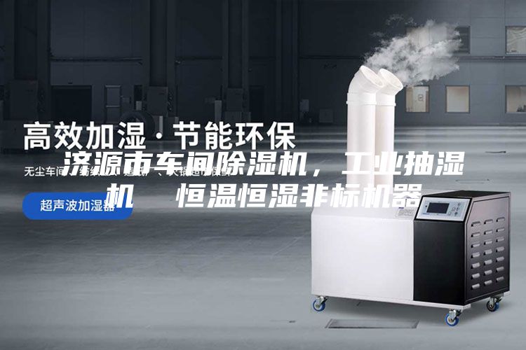濟源市車間除濕機，工業抽濕機  恒溫恒濕非標機器
