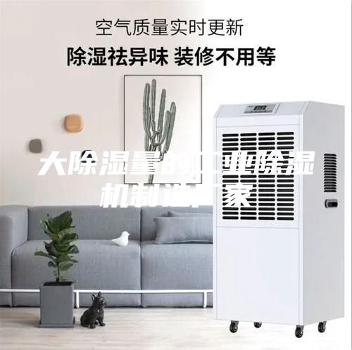 大除濕量的工業(yè)除濕機(jī)制造廠家