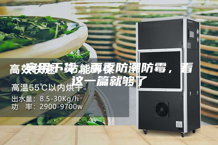 實用干貨，雨季防潮防霉，看這一篇就夠了