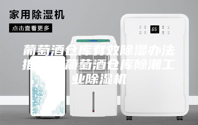 葡萄酒倉庫有效除濕辦法推薦？葡萄酒倉庫除潮工業除濕機