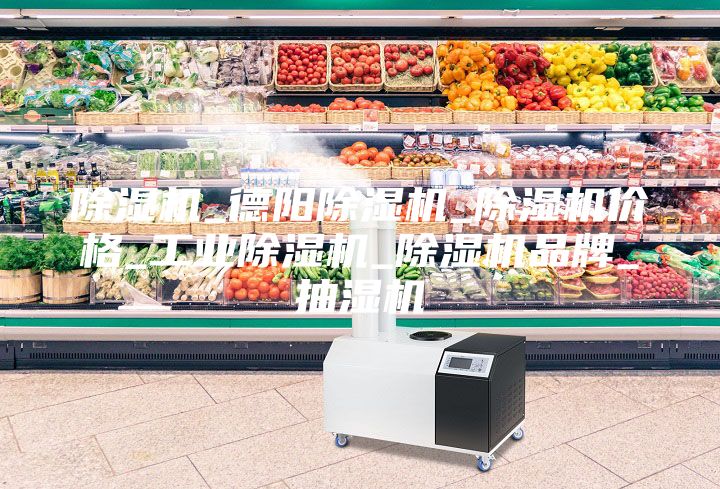 除濕機(jī)_德陽除濕機(jī)_除濕機(jī)價(jià)格_工業(yè)除濕機(jī)_除濕機(jī)品牌_抽濕機(jī)