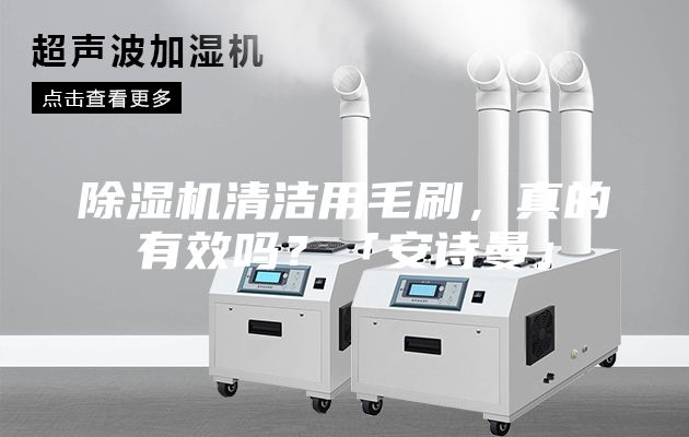 除濕機清潔用毛刷，真的有效嗎？「安詩曼」