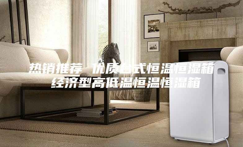 熱銷推薦 優(yōu)質臺式恒溫恒濕箱 經濟型高低溫恒溫恒濕箱