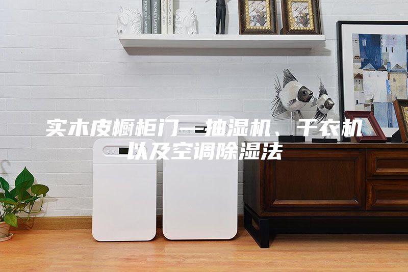 實木皮櫥柜門—抽濕機、干衣機以及空調除濕法
