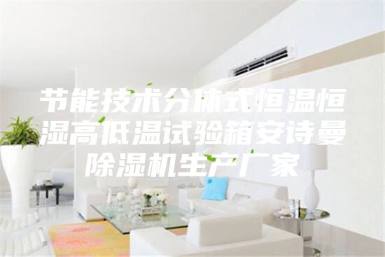 節能技術分體式恒溫恒濕高低溫試驗箱安詩曼除濕機生產廠家