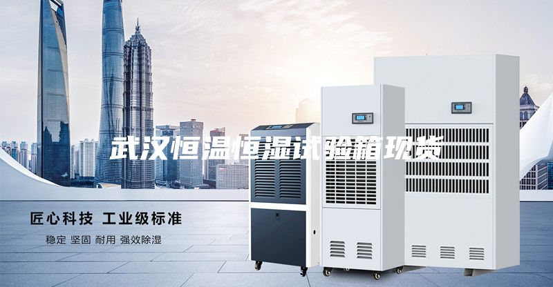 武漢恒溫恒濕試驗箱現貨