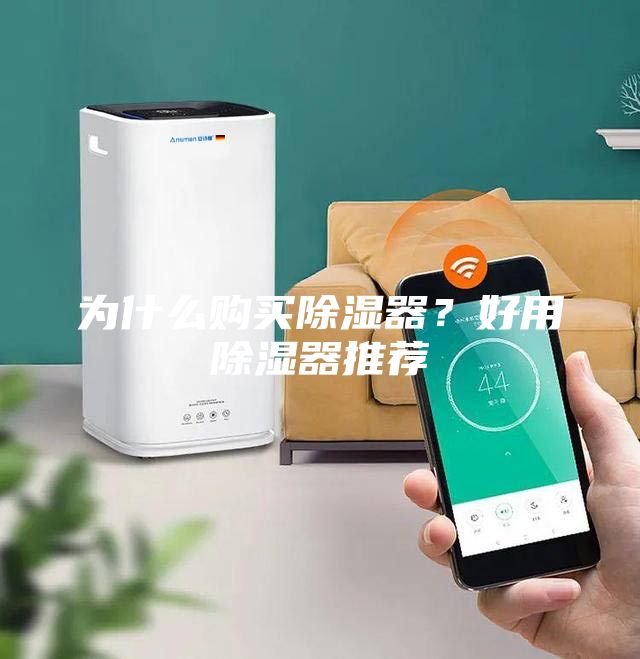 為什么購(gòu)買(mǎi)除濕器?好用除濕器推薦