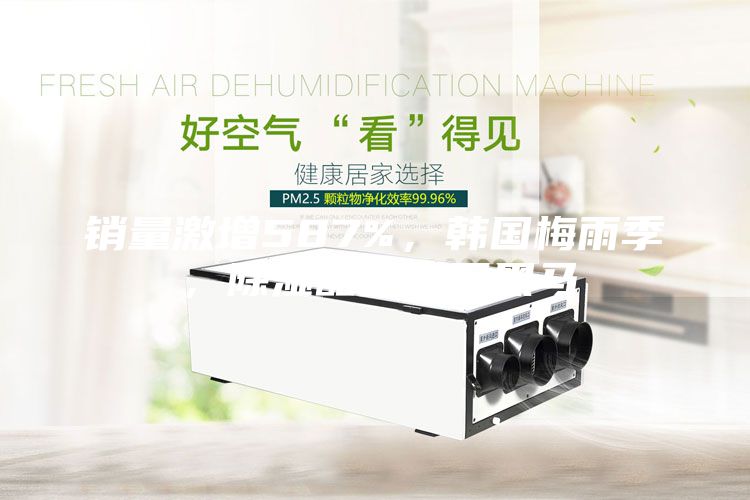 銷量激增587%，韓國(guó)梅雨季，除濕器成類目黑馬