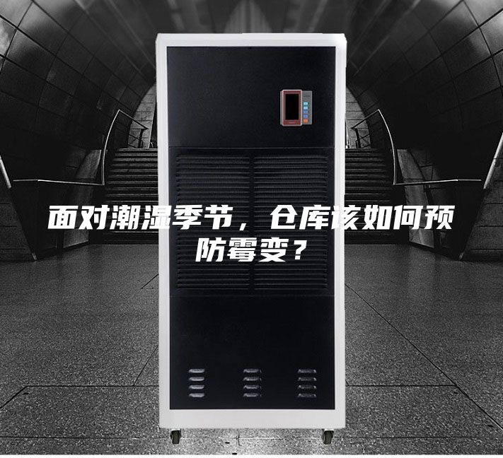 面對潮濕季節,倉庫該如何預防霉變?